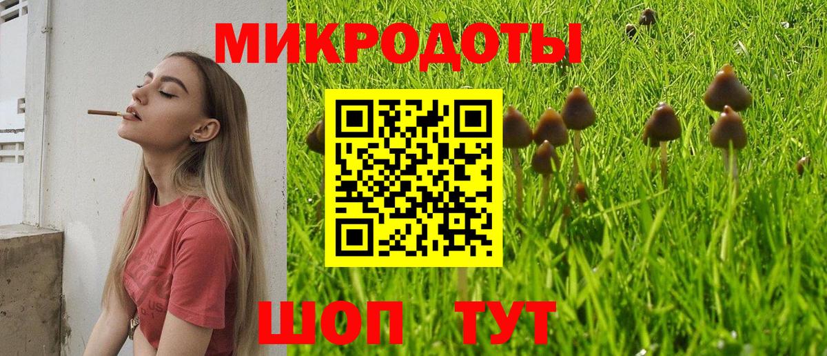 Псилоцибиновые грибы Magic Shrooms Алейск